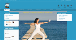 Desktop Screenshot of chiball.com